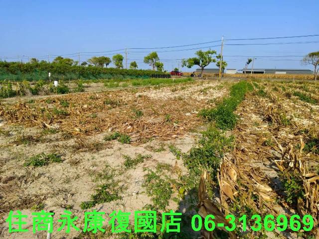 佳里農地-7