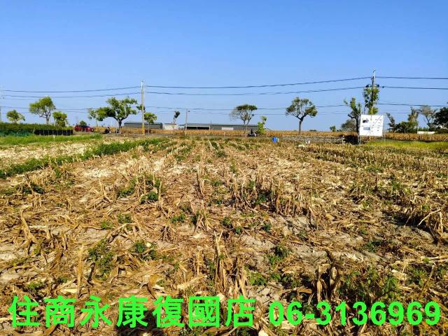 佳里農地-8