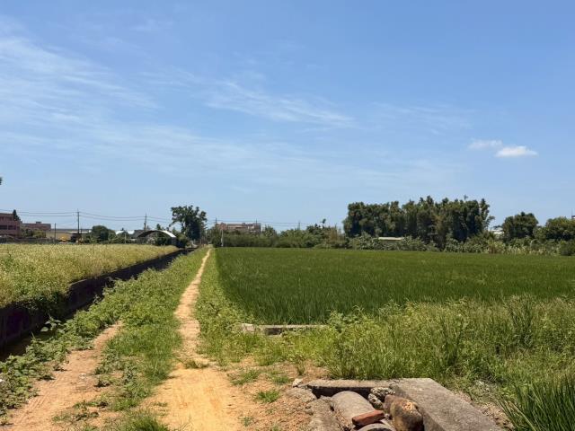 蘆竹農地-1