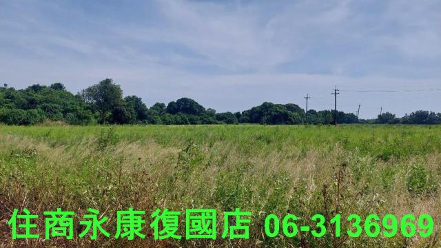 官田農地-0