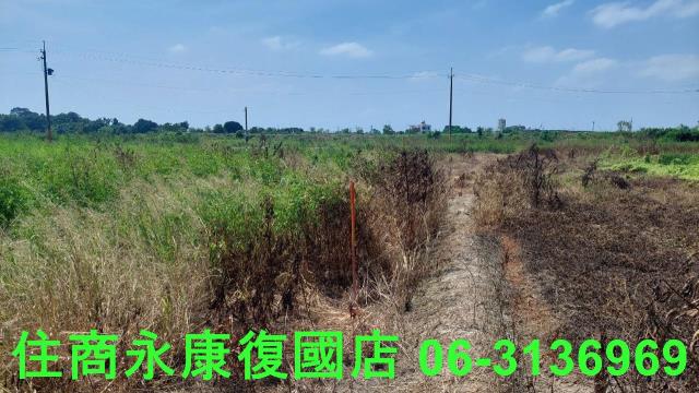 官田農地-6