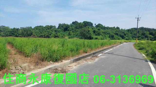 官田農地-9