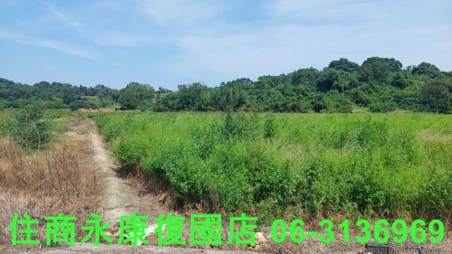 官田農地-2