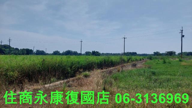 官田農地-4
