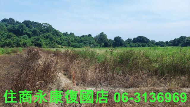 官田農地-5