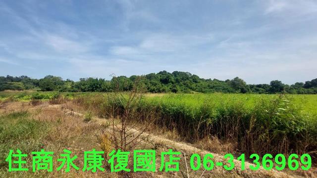 官田農地-7