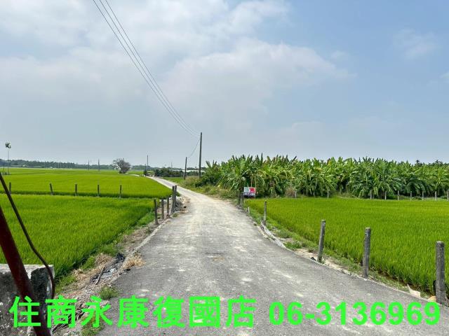 崁頂農地-9