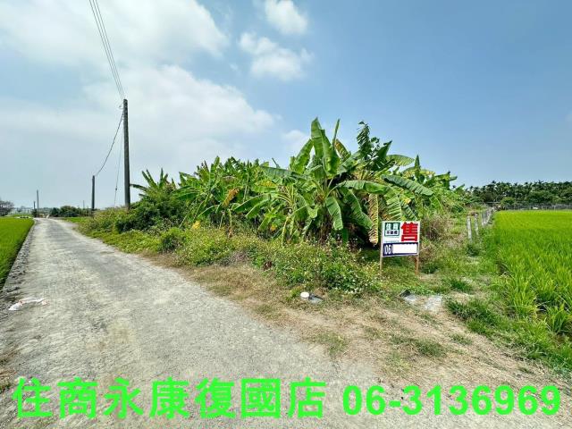 崁頂農地-11