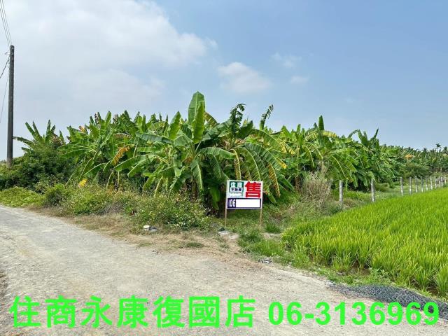 崁頂農地-0