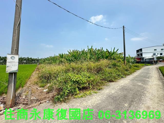 崁頂農地-2
