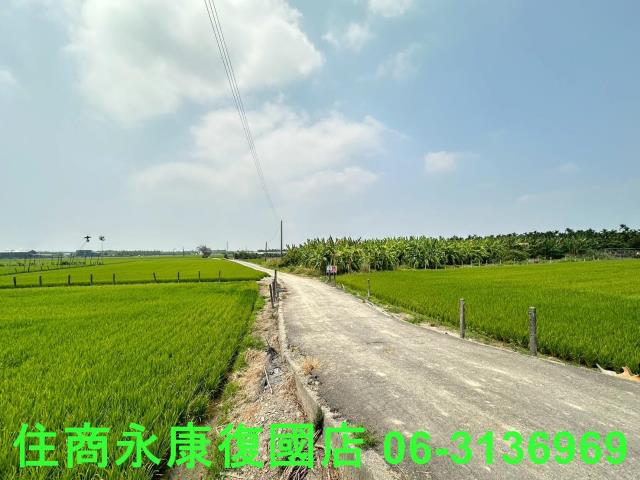 崁頂農地-5