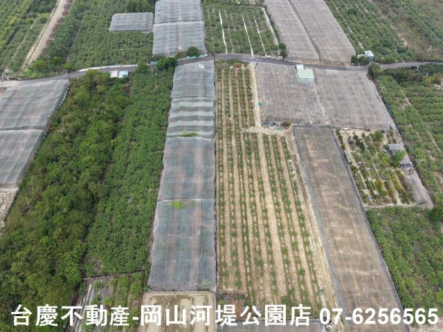 燕巢農地-2