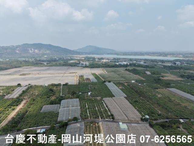 燕巢農地-14
