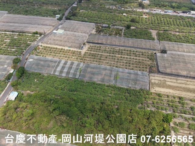 燕巢農地-6