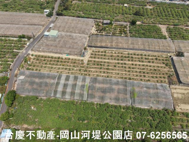 燕巢農地-12