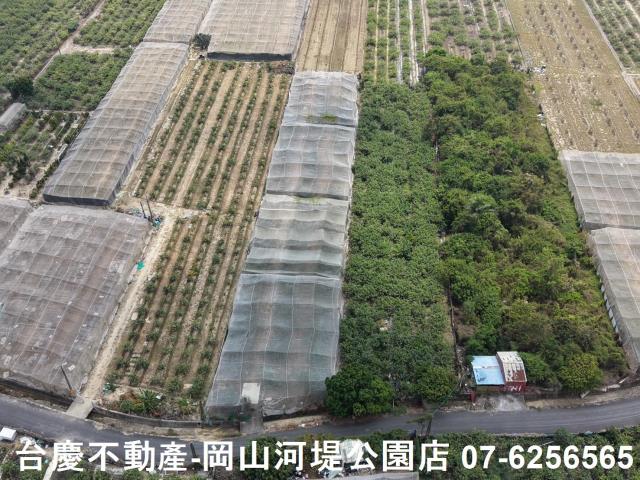 燕巢農地-7