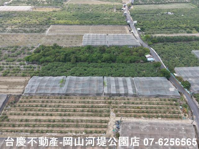 燕巢農地-4