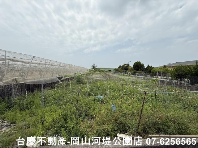 高雄農地-8