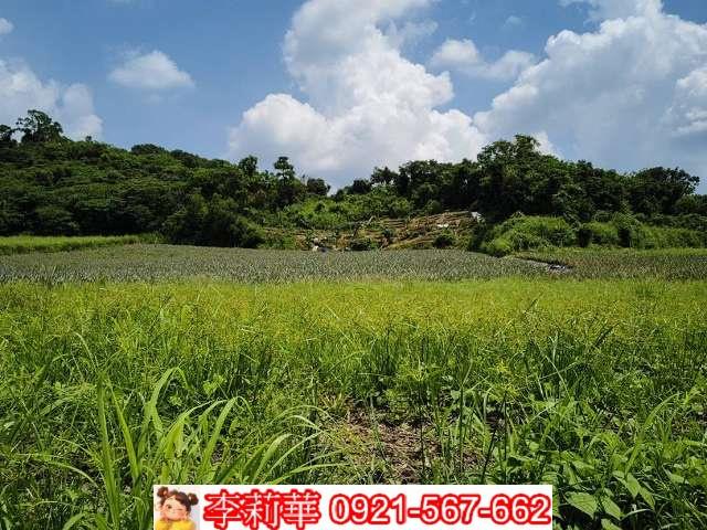 高雄大樹農地-9