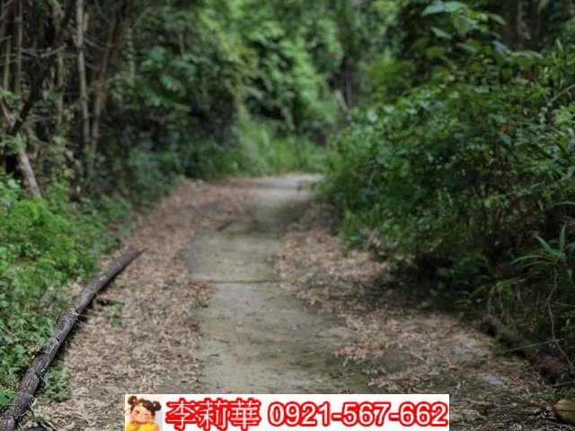 高雄大樹農地-1