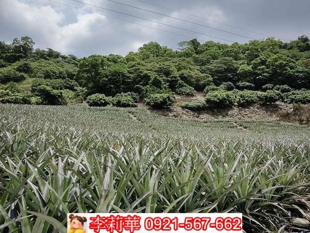 高雄大樹農地-4