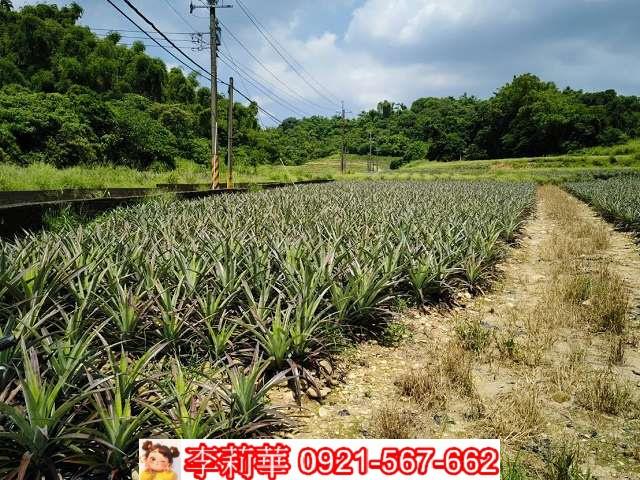 高雄大樹農地-5