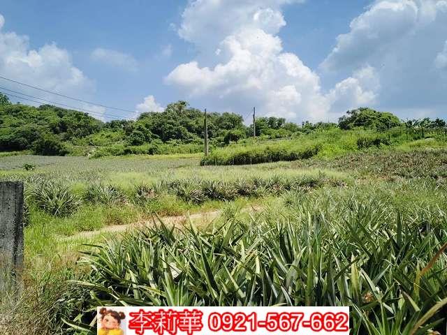 高雄大樹農地-6