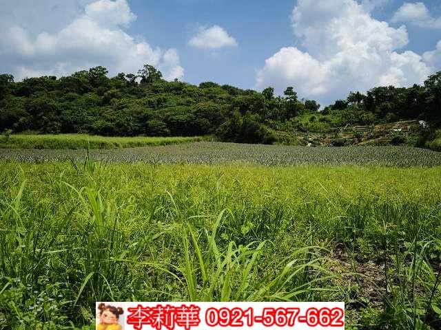 高雄大樹農地-7
