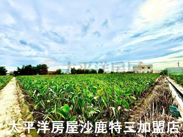 大甲土地