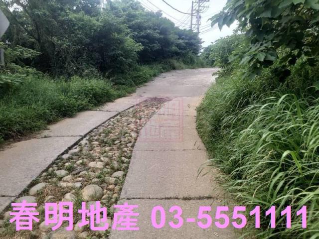 新豐農地-2