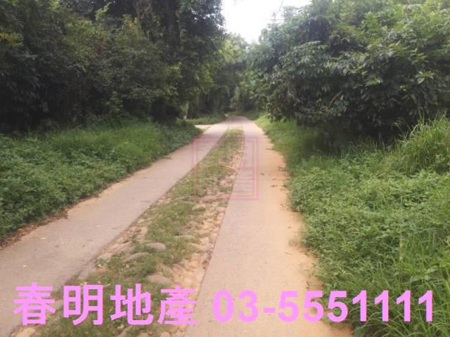 新豐農地-5