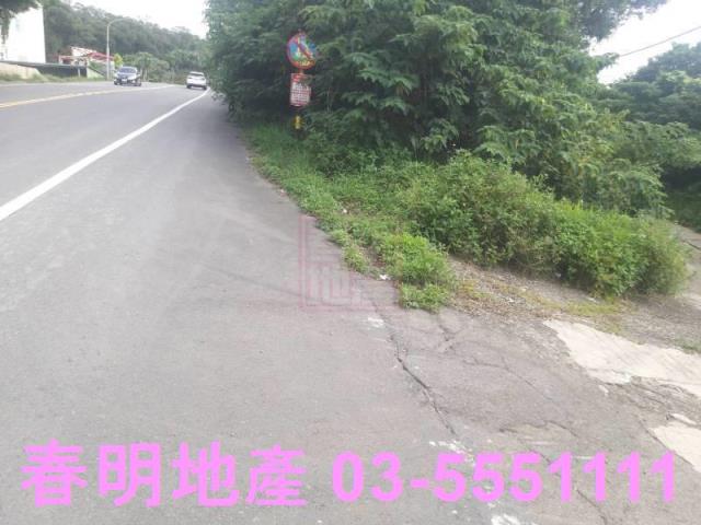 新豐農地-8