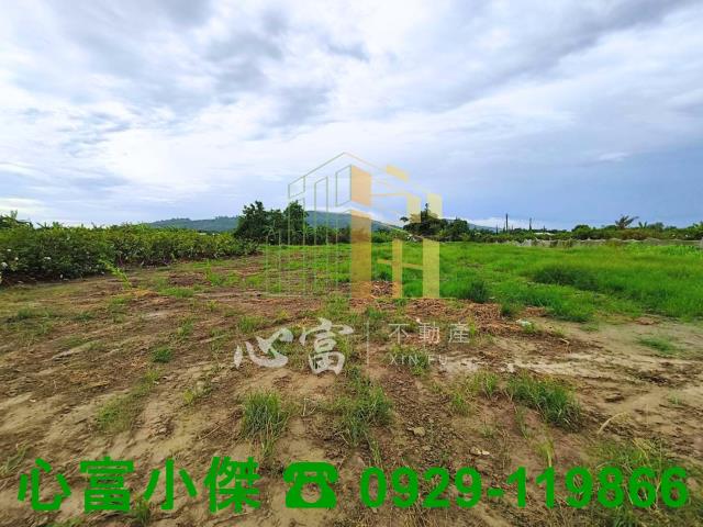 燕巢安招路農地