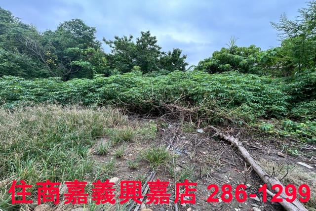 嘉義建地-5