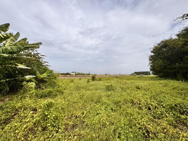 雲林農地-0
