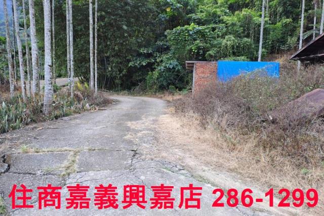 嘉義農地-11