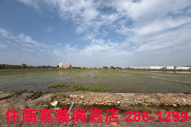 嘉義農地-12
