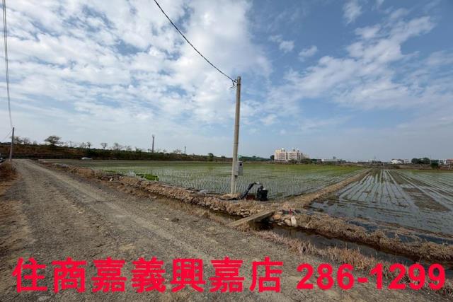 嘉義農地-4