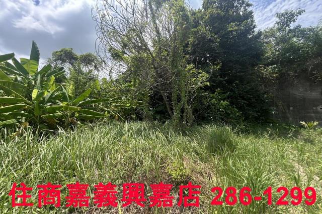 嘉義農地-9