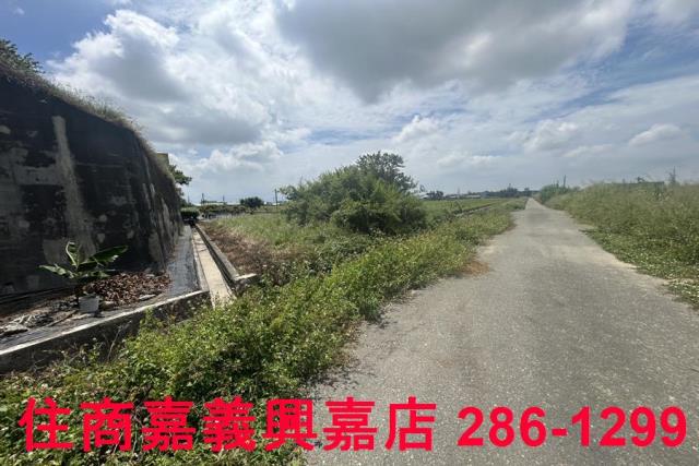 嘉義農地-4