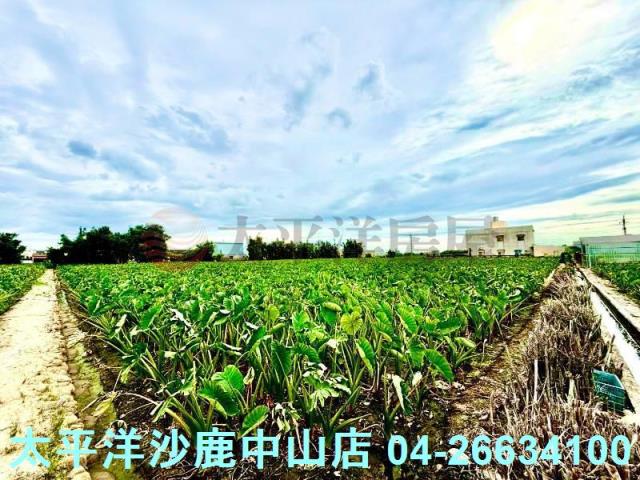 大甲區農牧用地出售