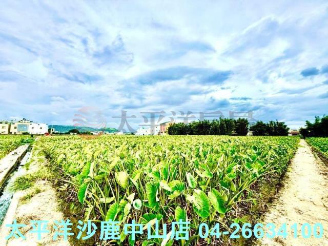 台中大甲農地-3