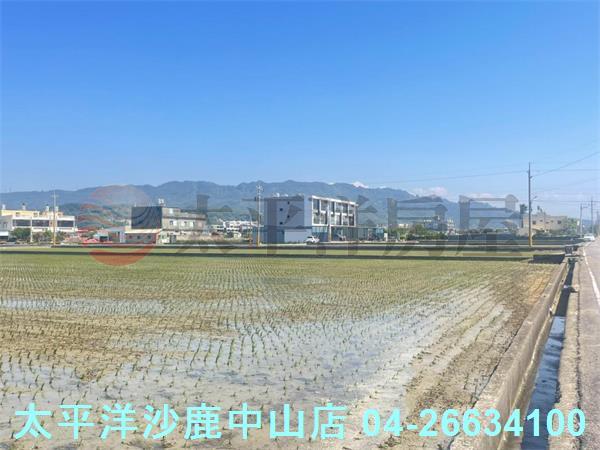 苗栗苑裡農地-3