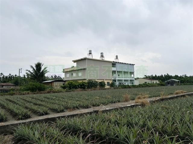 屏東內埔農地-12