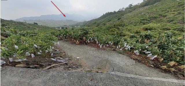 南化法拍南化農地南化土地
