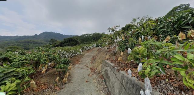 南化法拍南化農地南化土地