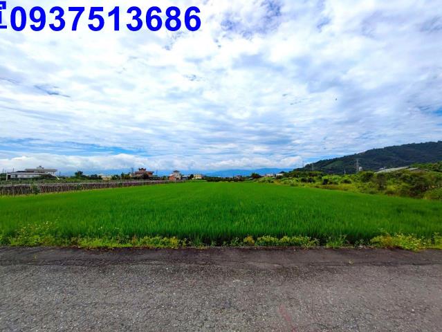 員山農地-5
