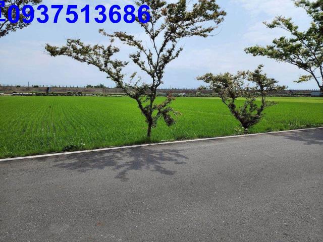 宜蘭農地-11