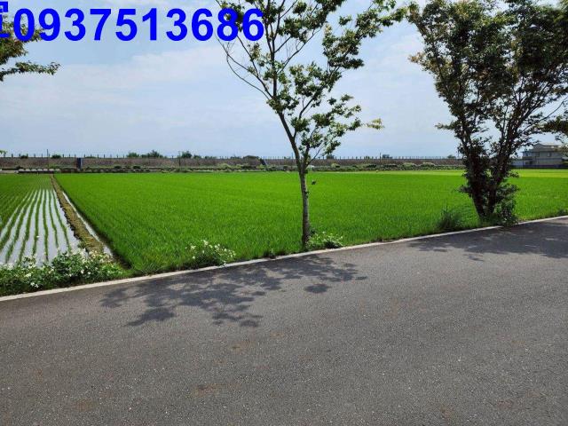 宜蘭農地-1