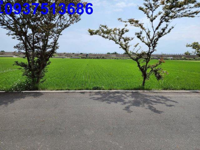 宜蘭農地-7